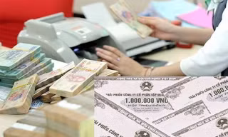 Trái chủ điêu đứng, doanh nghiệp mặc kệ