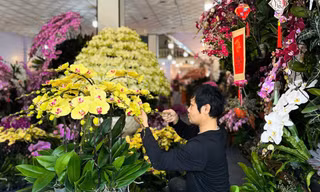 Bỏ túi 4-5 triệu đồng/ngày nhờ nghề... cắm hoa 