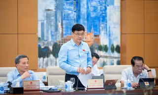'Dự án vùng này, vùng kia, công suất bao nhiêu đã có tên người này, người kia rồi'