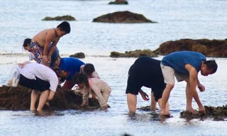 Du khách đổ ra biển Nha Trang trải nghiệm cảnh tượng chỉ có trên ti vi