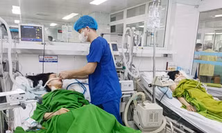 Phú Thọ: Hai chị em 'thập tử nhất sinh' do ăn nhầm lá ngón