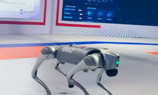 Robot chó đang thể hiện trình độ vận động tại GDTE 2023 ở Hàng Châu, Trung Quốc. Ảnh: Linh Nhi.