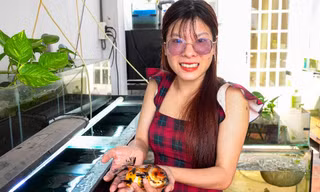 Vợ chồng trẻ thu nhập gấp 3 dân văn phòng từ khoảng sân thượng