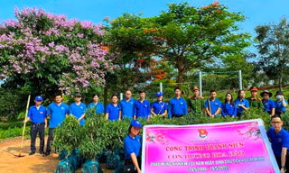 Bạn trẻ Đắk Lắk check in đường hoa đào