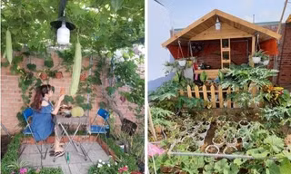 Đôi vợ chồng ở TPHCM trồng rau, làm vườn khi cách ly tại nhà