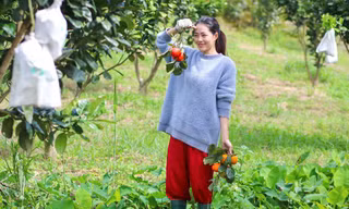 Những người trẻ sống ở cả thành phố và vùng quê