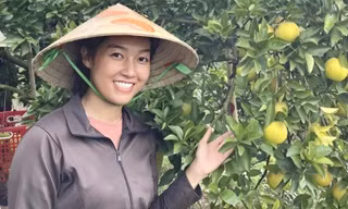Cô gái Bình Dương rời trời Tây về quê làm nông dân, thành công thu tiền tỷ