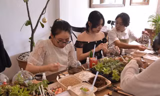 Nở rộ dịch vụ 'chữa lành', dân công sở chi tiền để học cách sống chậm