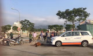 Chiếc taxi gặp phải đàn bò đang ngủ giữa đường, một chú bò giật mình lao vào đầu xe taxi, chết tại chỗ. Ảnh: CTV