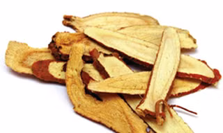 Những loài cây chữa được ung thư