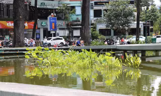 Diện mạo mới nhất của Hồ Con Rùa sau 3 tháng cải tạo