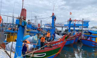 Tin mới về việc trả nợ, miễn giảm lãi vay ngân hàng tại 26 tỉnh thành