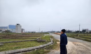 Nhiều người 'săn lùng' bất động sản sau Tết