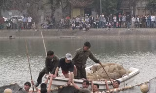 Hồ Gươm có hai 'cụ' Rùa