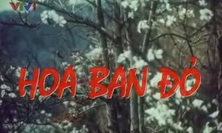'Hoa ban đỏ' tái hiện những khoảng lặng thời chiến dịch Điện Biên Phủ