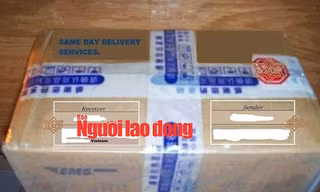 Vì sao hàng loạt quý bà, quý ông ở TPHCM sụp bẫy trai lạ