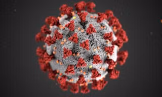 Biến thể virus corona mới siêu lây nhiễm