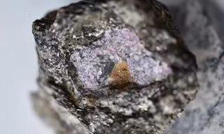 Viên ruby nguyên sinh ẩn chứa bí mật về cuộc sống cổ đại