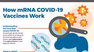 Công nghệ mRNA được áp dụng để phát triển vắc xin COVID-19