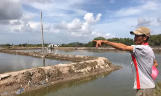 Dừng phân lô bán nền dự án 'vẽ' trên đất ruộng muối