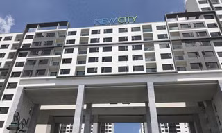 Dự án New city