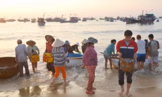Ngư dân trúng đậm ngàn tấn thủy hải sản trong chuyến ra khơi đầu năm