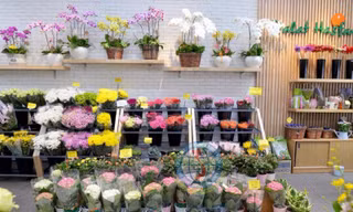 Nhiều phụ nữ từ chối nhận hoa để gửi ủng hộ người dân miền Trung.