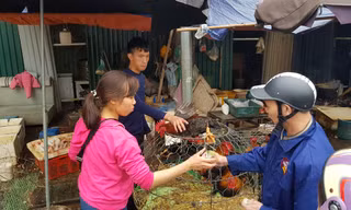 Chồn chân chờ gà cúng ông Công ông Táo, nhiều người muộn làm