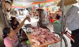 9.000 con lợn sống Thái Lan về Việt Nam bán ở đâu?