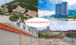 Rộ đấu giá đất khi thị trường trầm lắng, mang cả công viên thế chấp lấy 40 tỷ gây 'choáng'