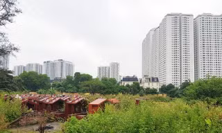 Đất trường học bị đưa vào khu nghĩa trang, phụ huynh lo bốc thăm để con được đi học