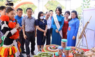 Thanh niên khởi nghiệp Hà Giang trưng bày, giới thiệu đặc sản độc lạ