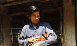 Cử nhân nuôi chim trĩ