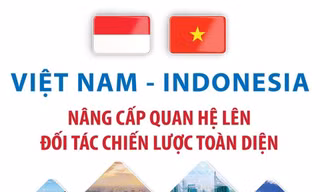 Việt Nam và Indonesia nâng cấp quan hệ lên Đối tác chiến lược toàn diện