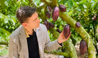 Đại sứ EU mục sở thị nơi trồng cacao ngon nhất thế giới tại Việt Nam