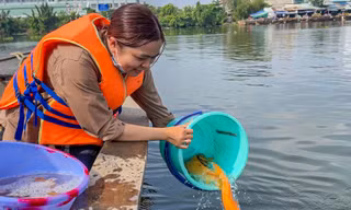 Đi ghe ra giữa sông thả cá phóng sinh