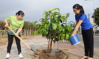 Chạy Marathon, trồng cây xanh ‘chống biến đổi khí hậu’