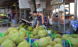 Nông sản Đồng bằng sông Cửu Long giữa mùa khó khăn kép