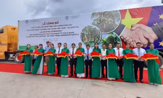 Xuất khẩu lô hàng trái cây sang châu Âu theo hiệp định EVFTA ​