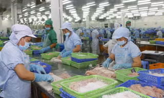 Xuất khẩu thủy sản sang EU năm 2020 dự báo đạt hơn 1 tỷ USD