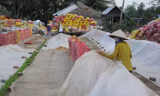 Đề nghị kiểm tra, hủy toàn bộ tờ khai xuất khẩu gạo lúc 0 giờ