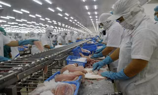 Cơ hội cho ngành thủy sản Việt Nam từ hiệp định EVFTA