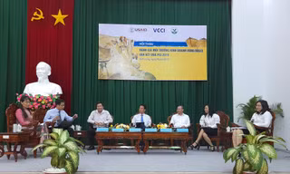 Đồng bằng sông Cửu Long có tỷ lệ nhũng nhiễu thấp nhất cả nước