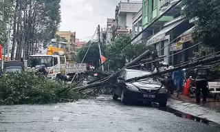 Cột điện gãy đè trúng xe đưa đón Bí thư Thành ủy