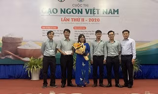 Những loại gạo nào của Việt Nam sẽ dự thi gạo ngon thế giới?
