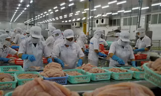 Dù ảnh hưởng COVID-19, doanh nghiệp giải thể ở ĐBSCL vẫn giảm mạnh so với cùng kỳ