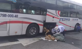 Hơn 2 tạ thịt dê không đảm bảo vệ sinh chuẩn bị lên bàn nhậu