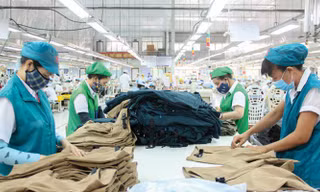 Cả nước có hơn 505 nghìn DN đang hoạt động. ảnh minh hoạ 