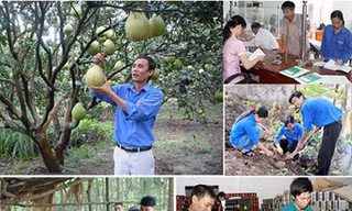 Tín dụng chính sách cho thanh niên lập nghiệp. Ảnh VBSP 