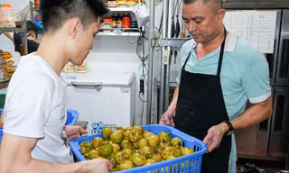 'Bắt trend' gà ủ muối măng cụt xanh, chủ quán Hà Nội thu trăm triệu/ngày